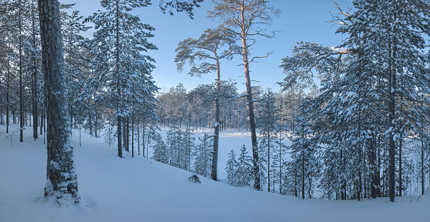 Зима... Зимушка...... Зима..............