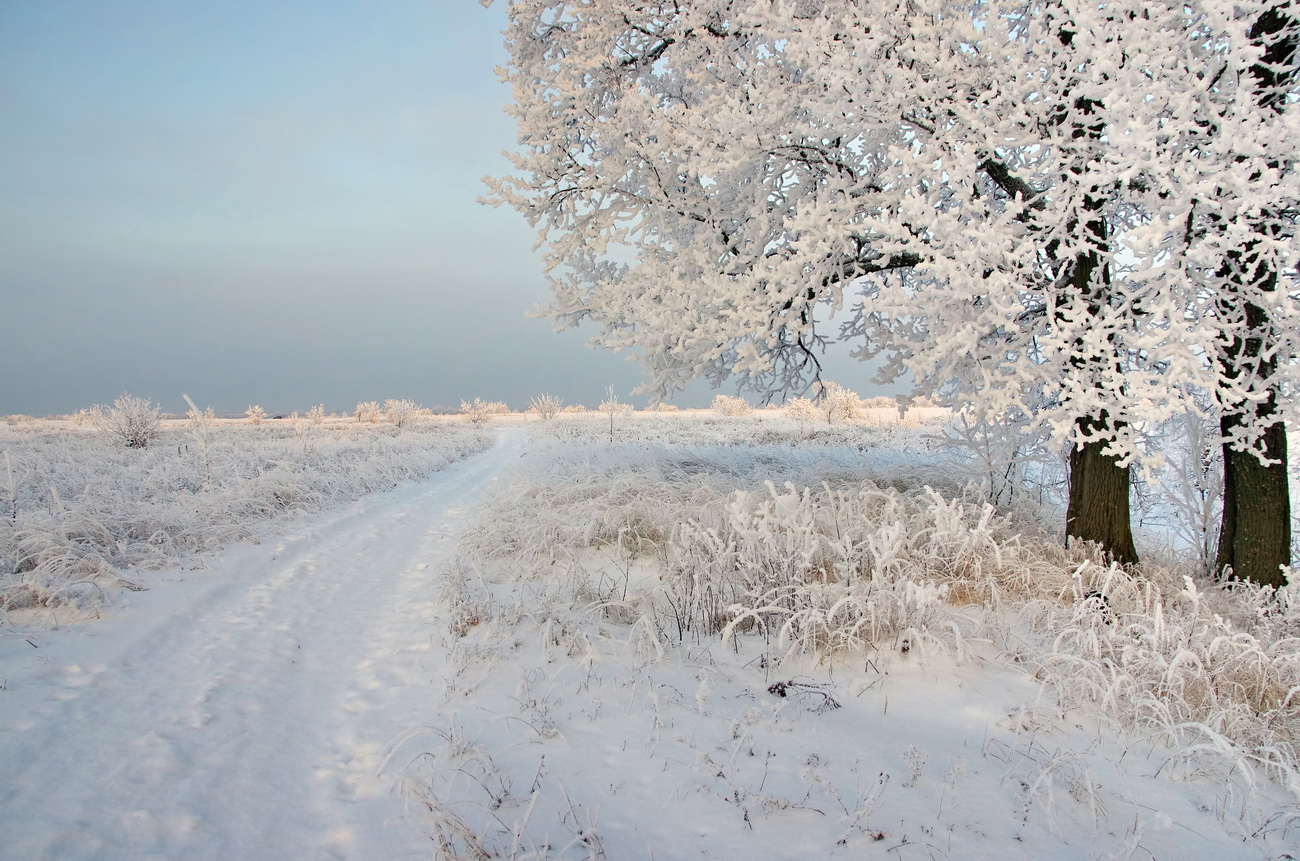 Начало декабря