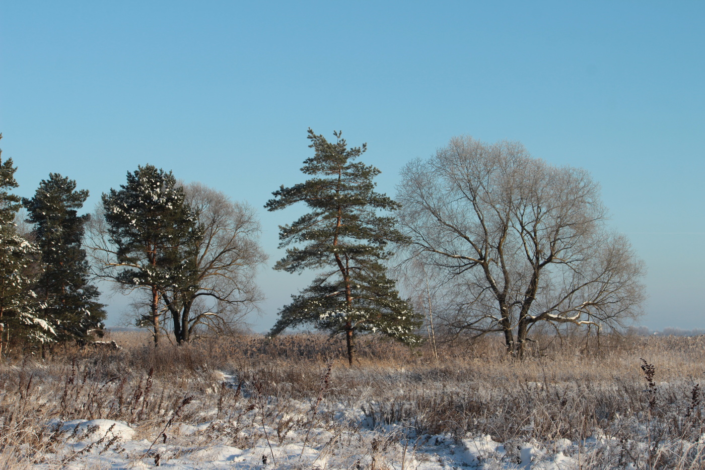 Зима, декабрь