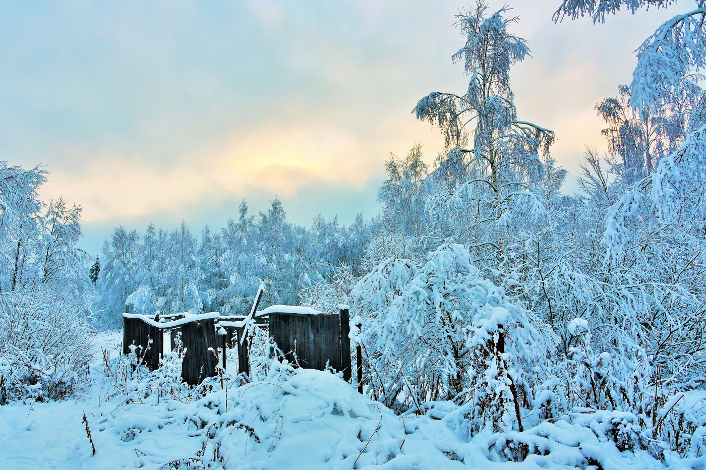 И вот зима пришла ...