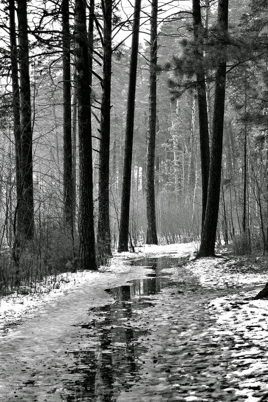 *Оттепель.**