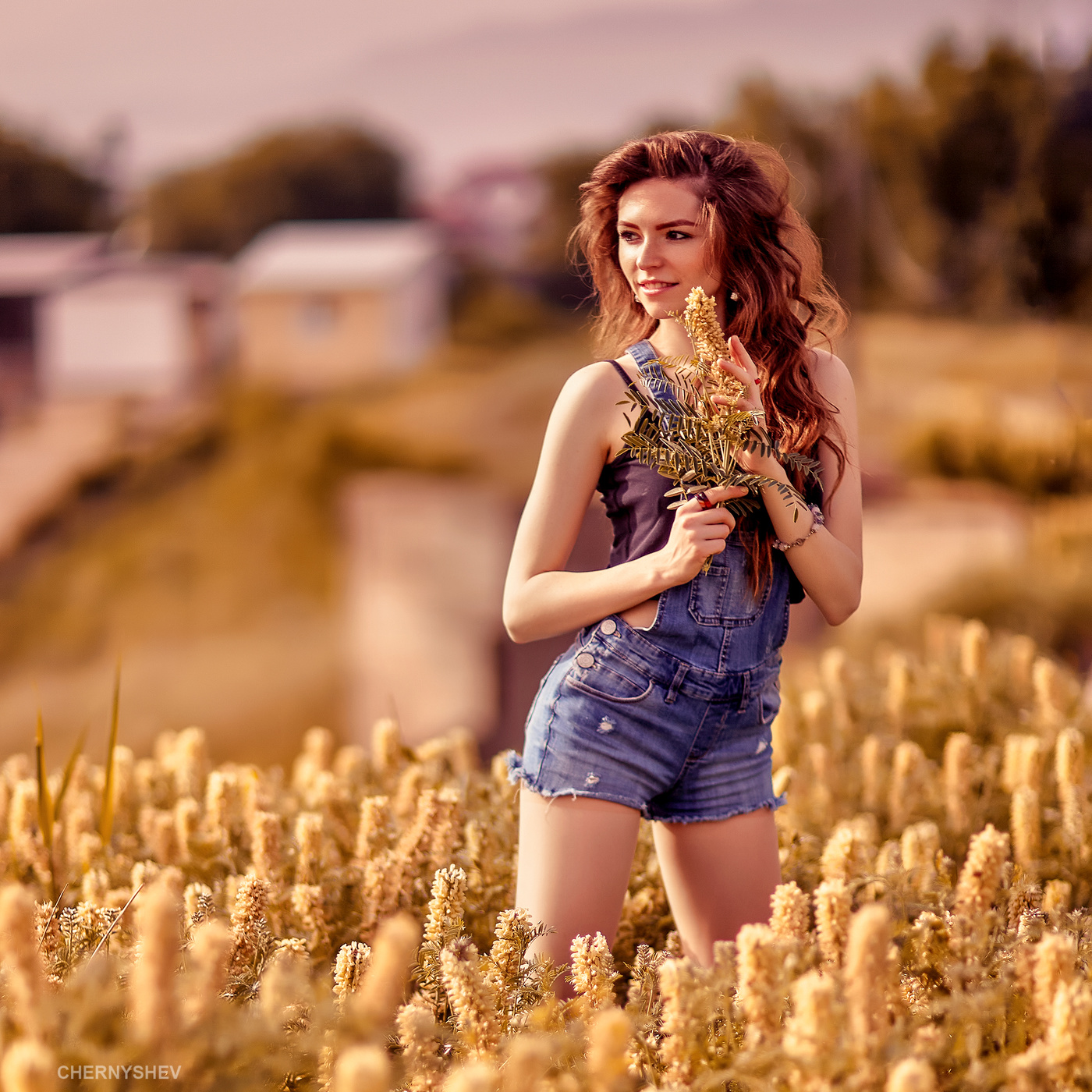 из альбома "упавшее Солнце".