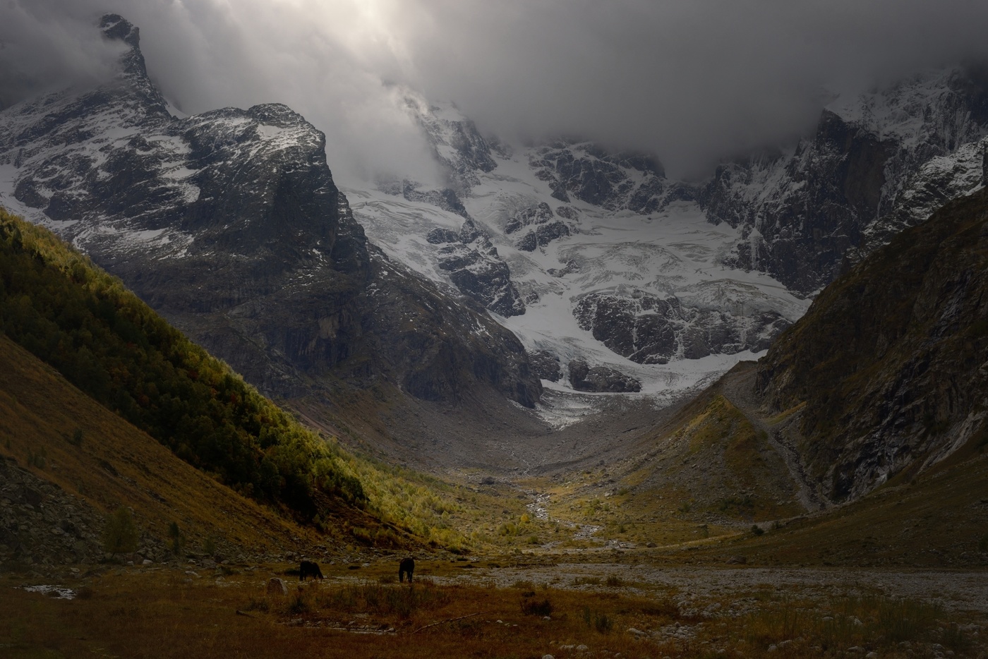 Хмурое утро