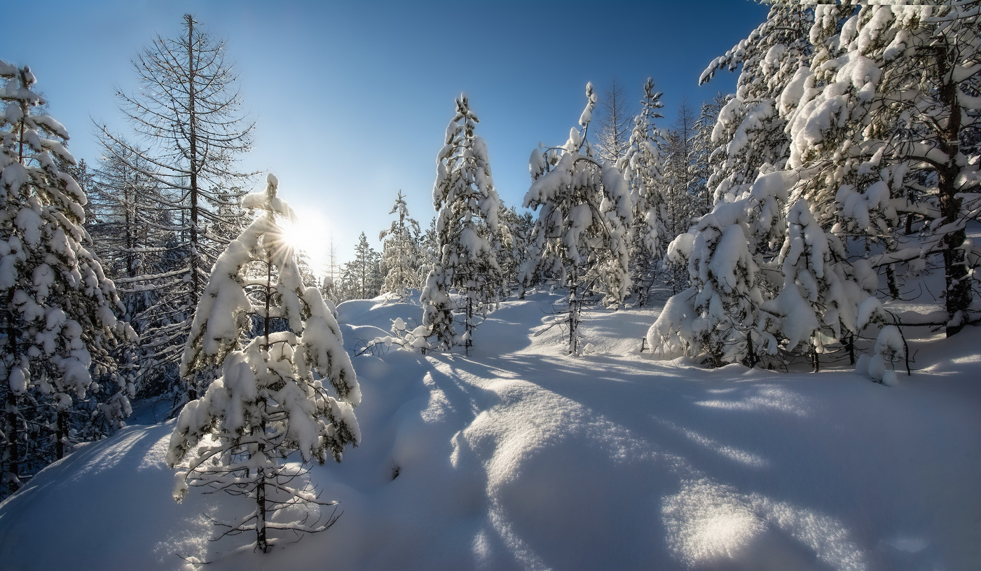 Морозный солнечный денёк