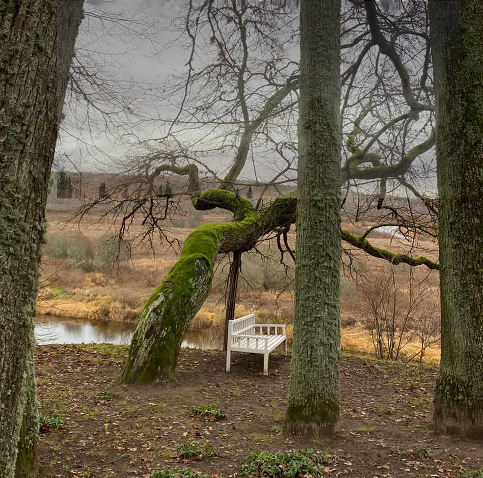 Совсем унылая пора