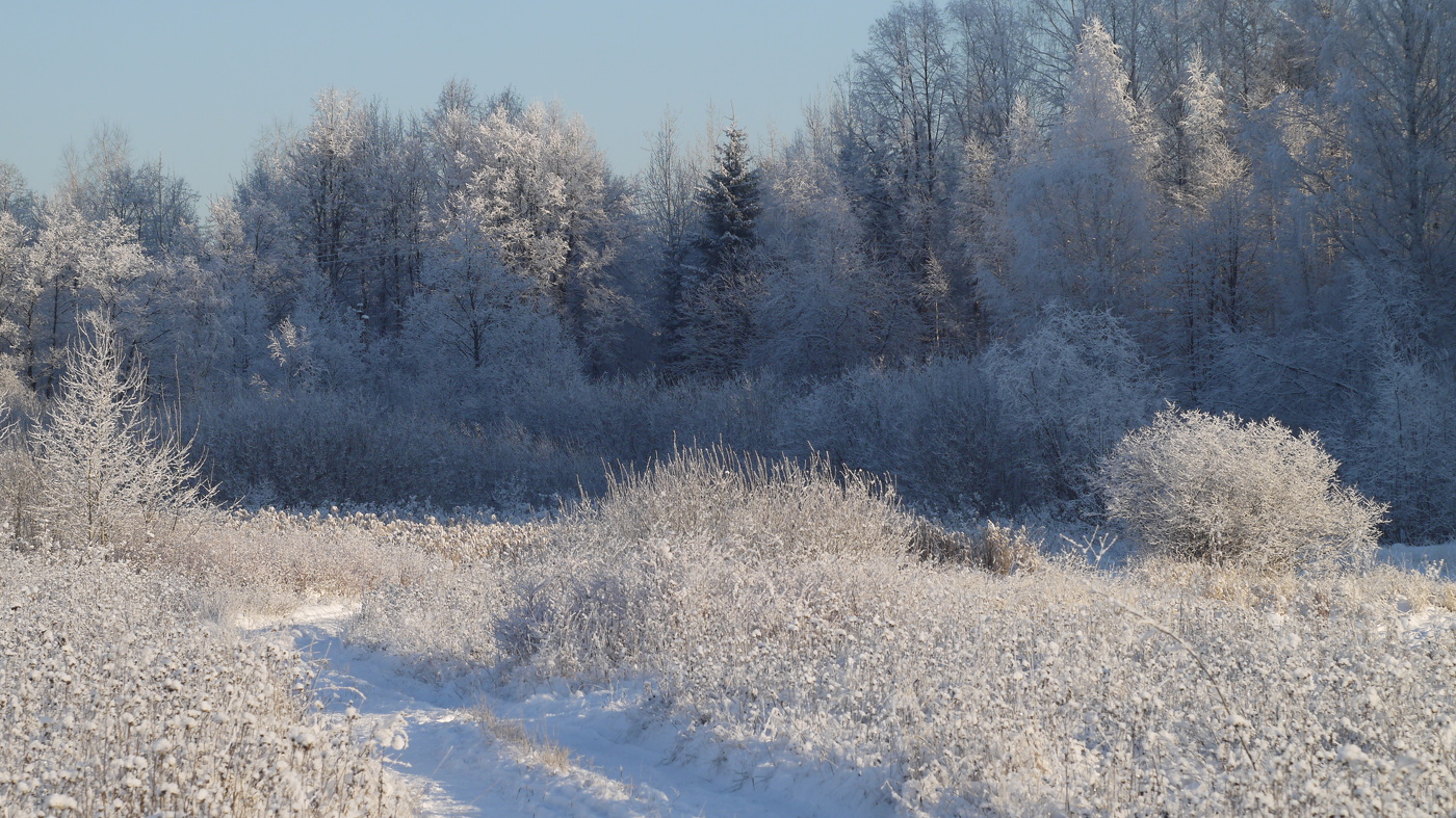 Зима не мёрзнуть.