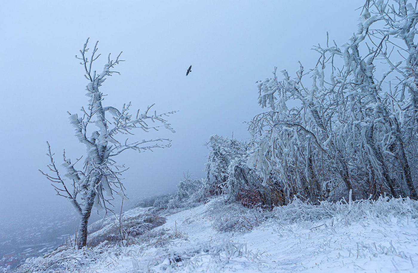 Зима в Пятигорске