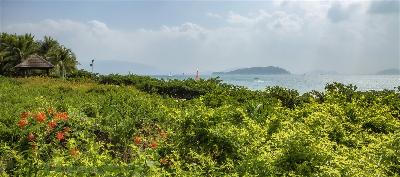 Вечно зеленый...