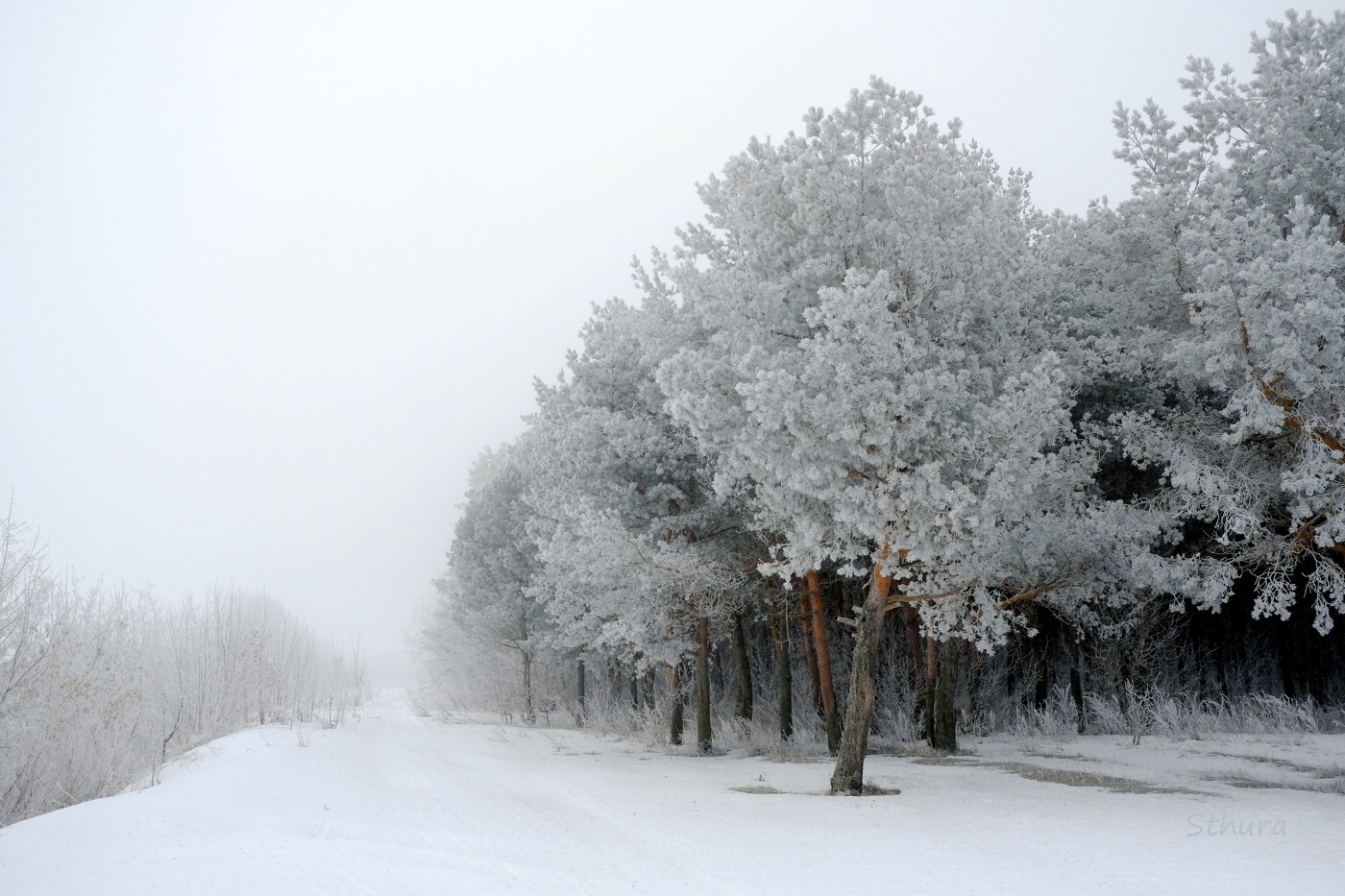 Туман и иней.