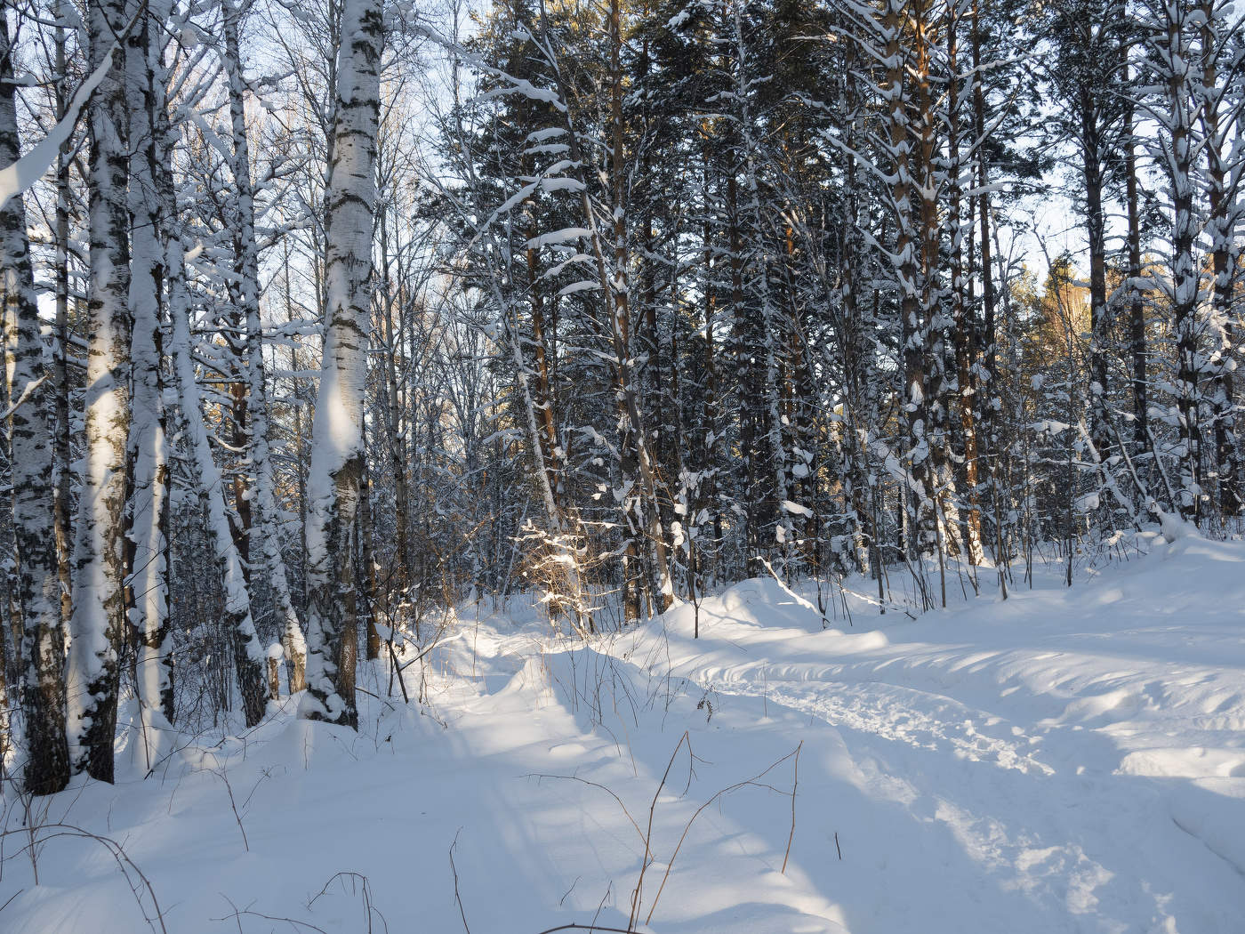 Мороз и солнце