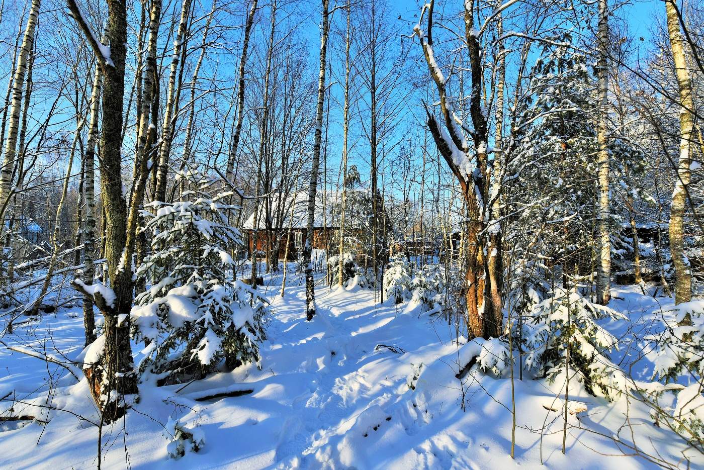 "Здравствуй, гостья-зима! Просим милости к нам..."