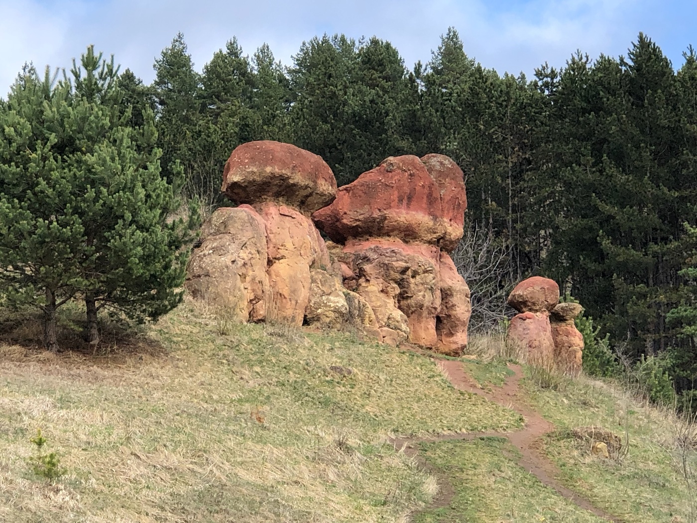 «Грибочки» в окрестностях Кисловодска