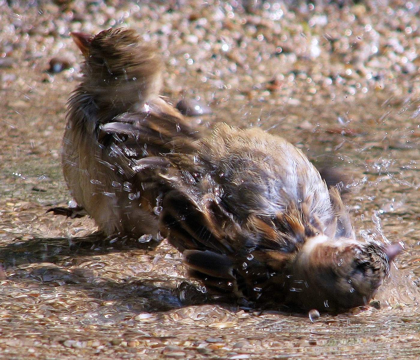 Жаркий день.
