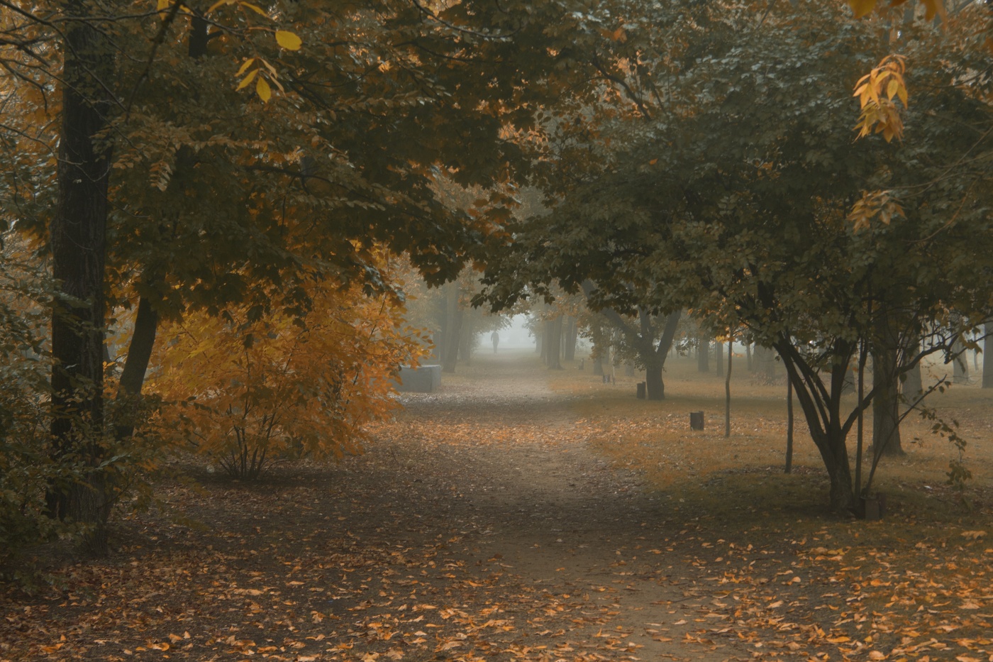 Осеннее утро