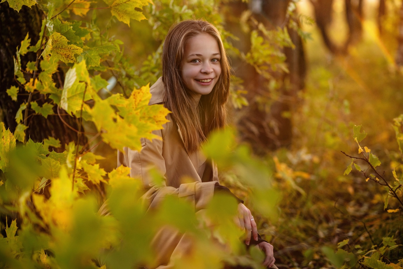 Повсюду клёны