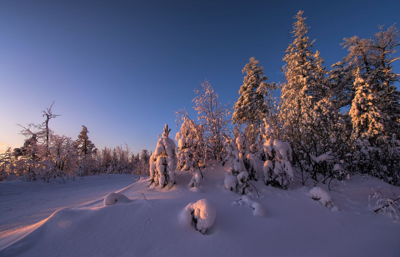 Розовое утро