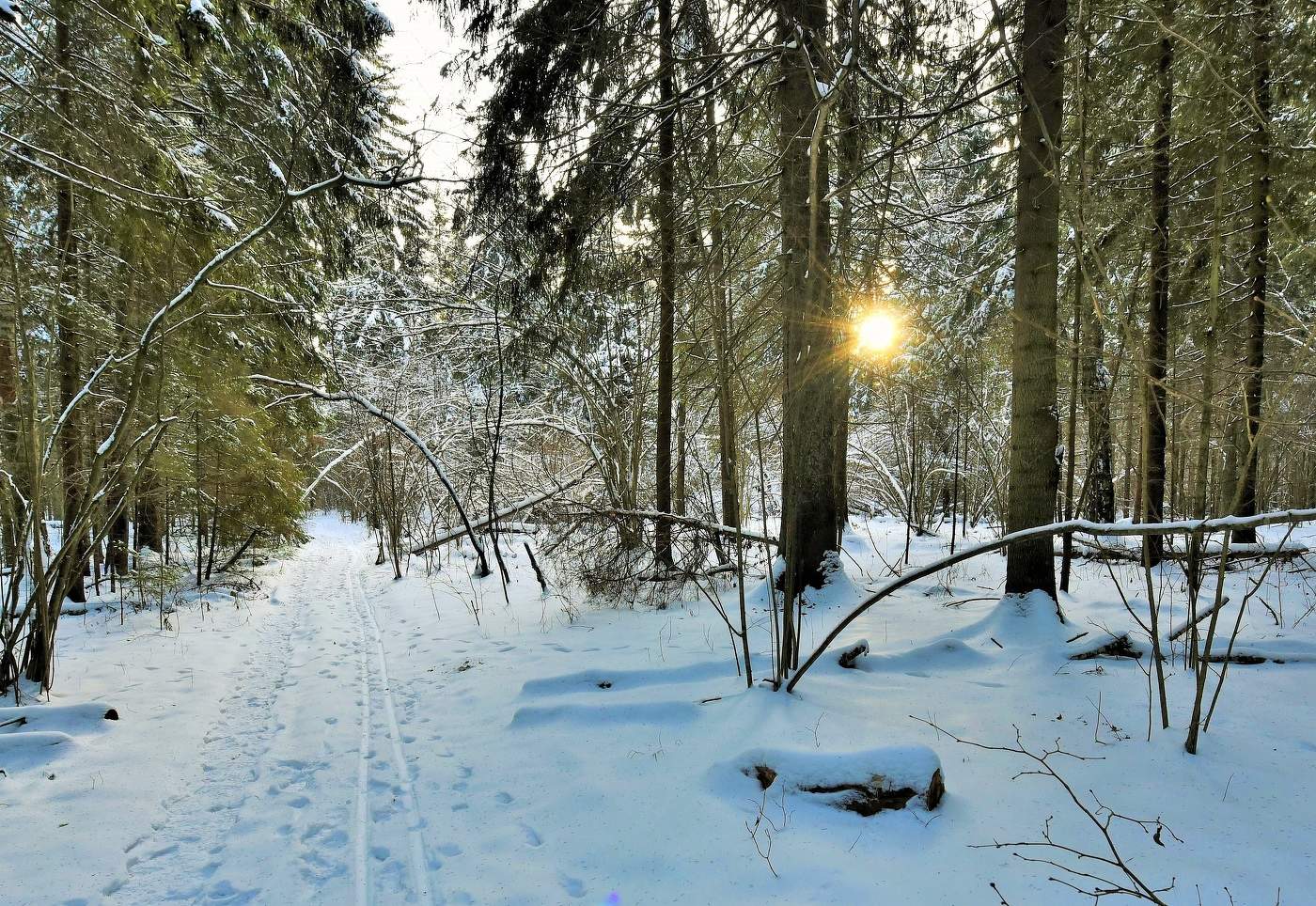 "Божьи дни коротки, солнце светит мало..."