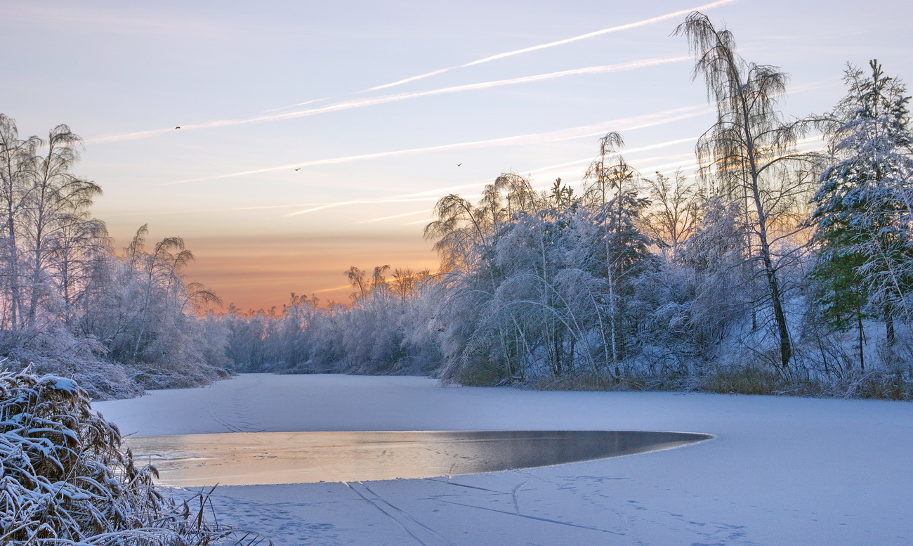 Морозное утро