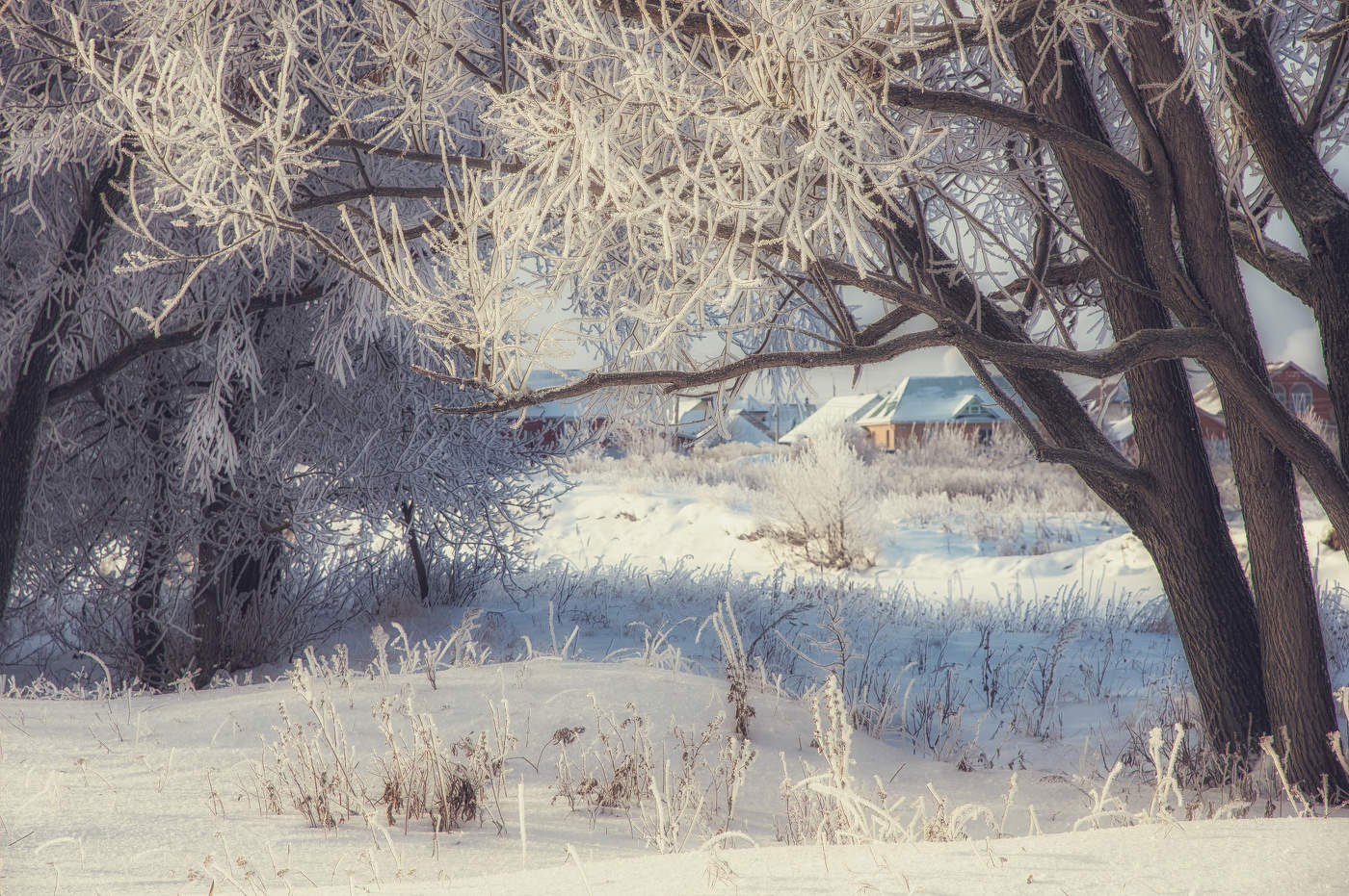 Мороз на улице Луговой