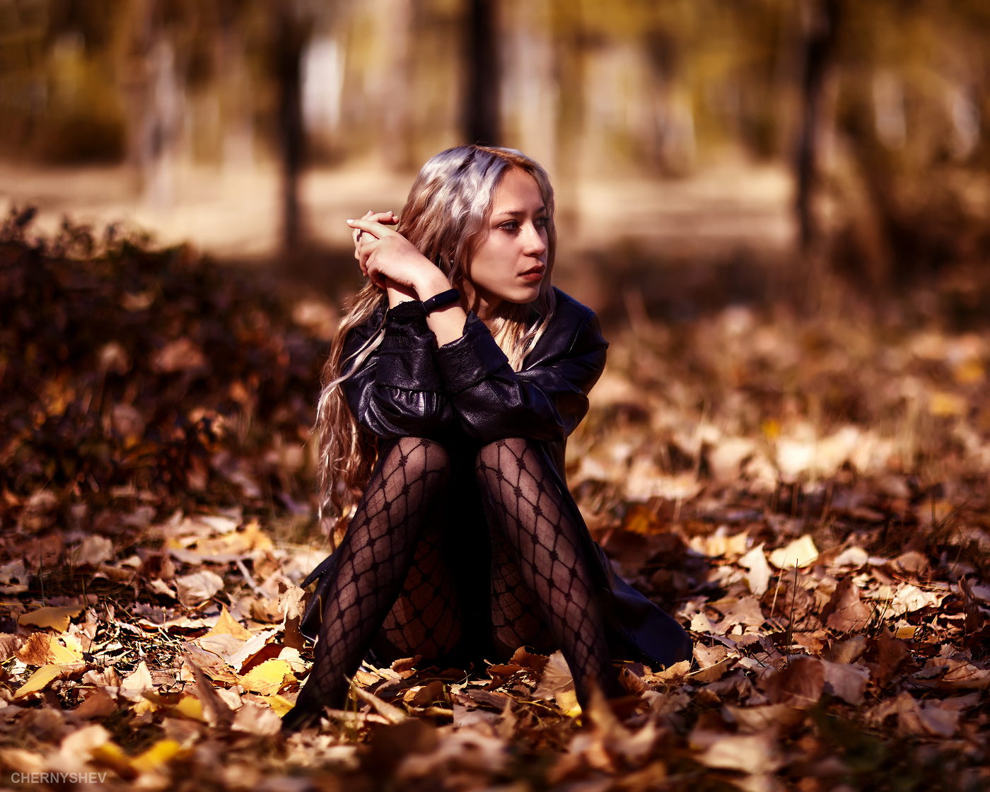 из альбома "логика листьев".