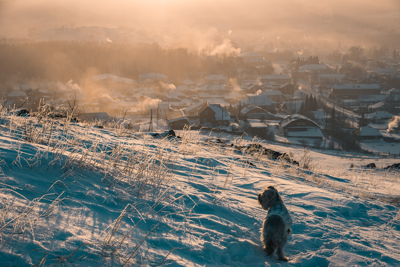 Быстрее домой