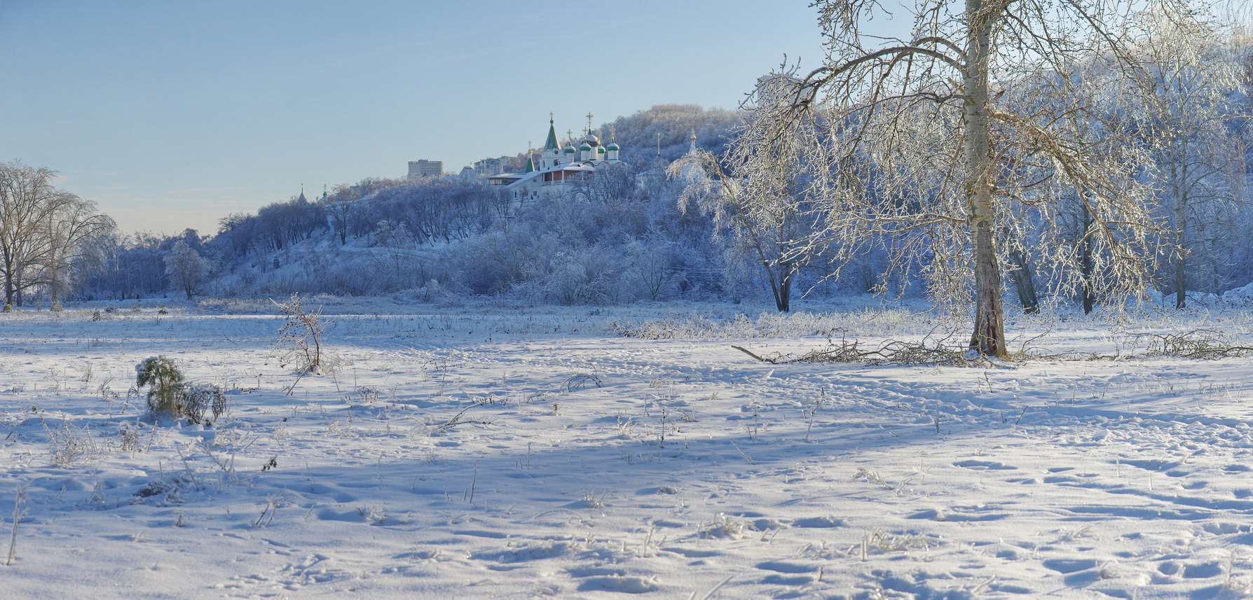 После ледяного дождя