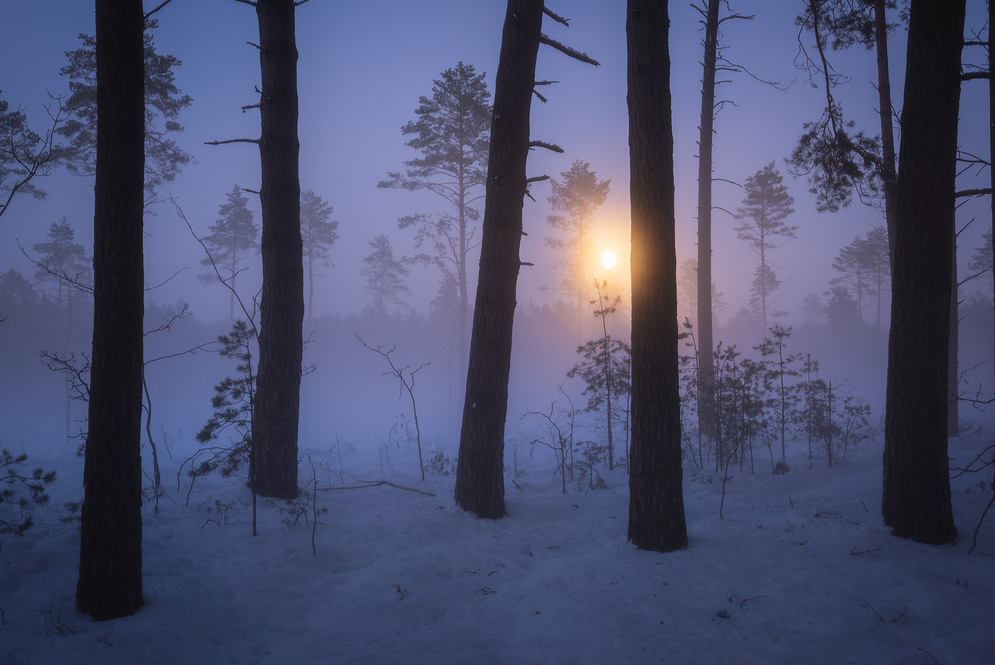 В лунном свете