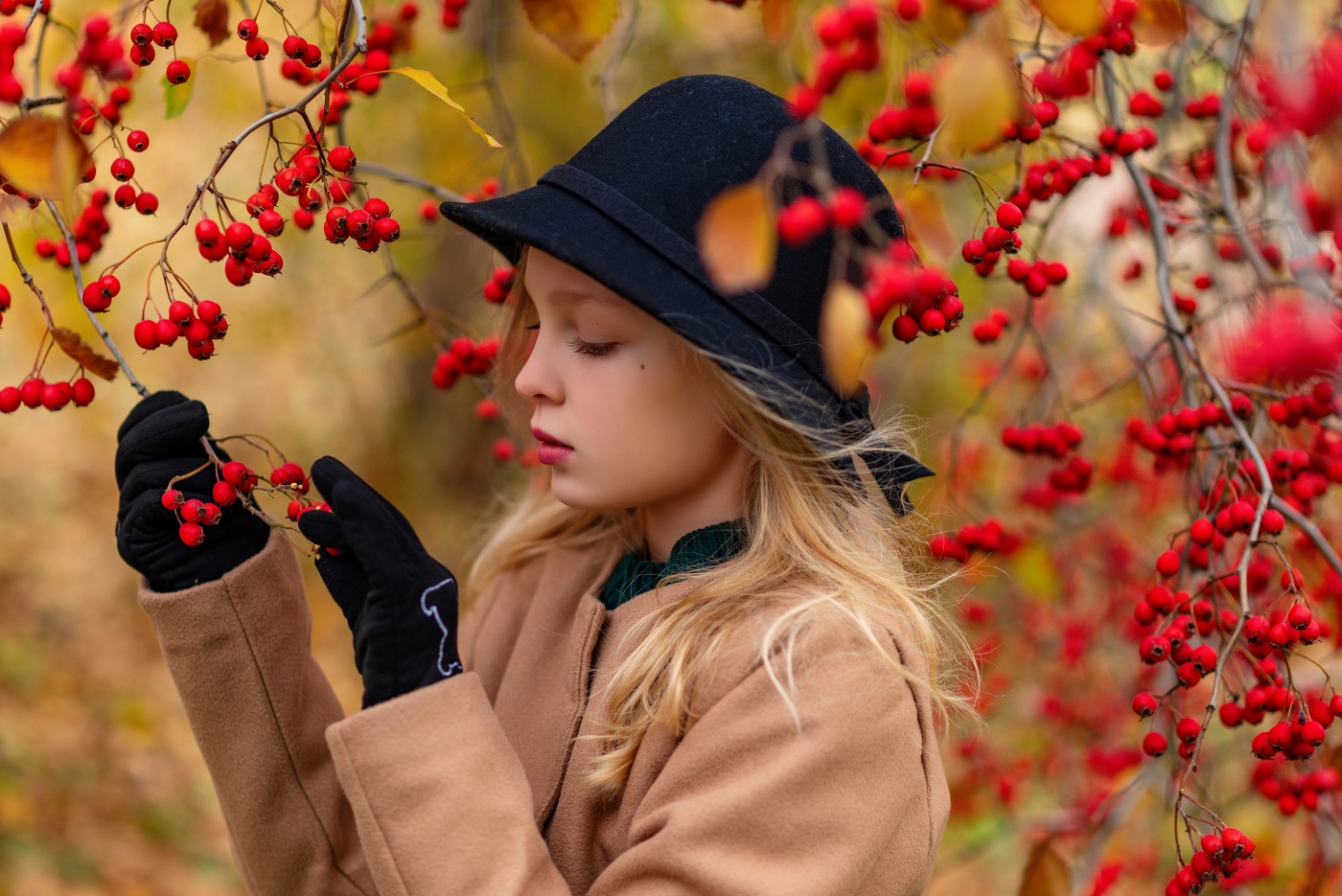Красные ягоды, в красном октябре