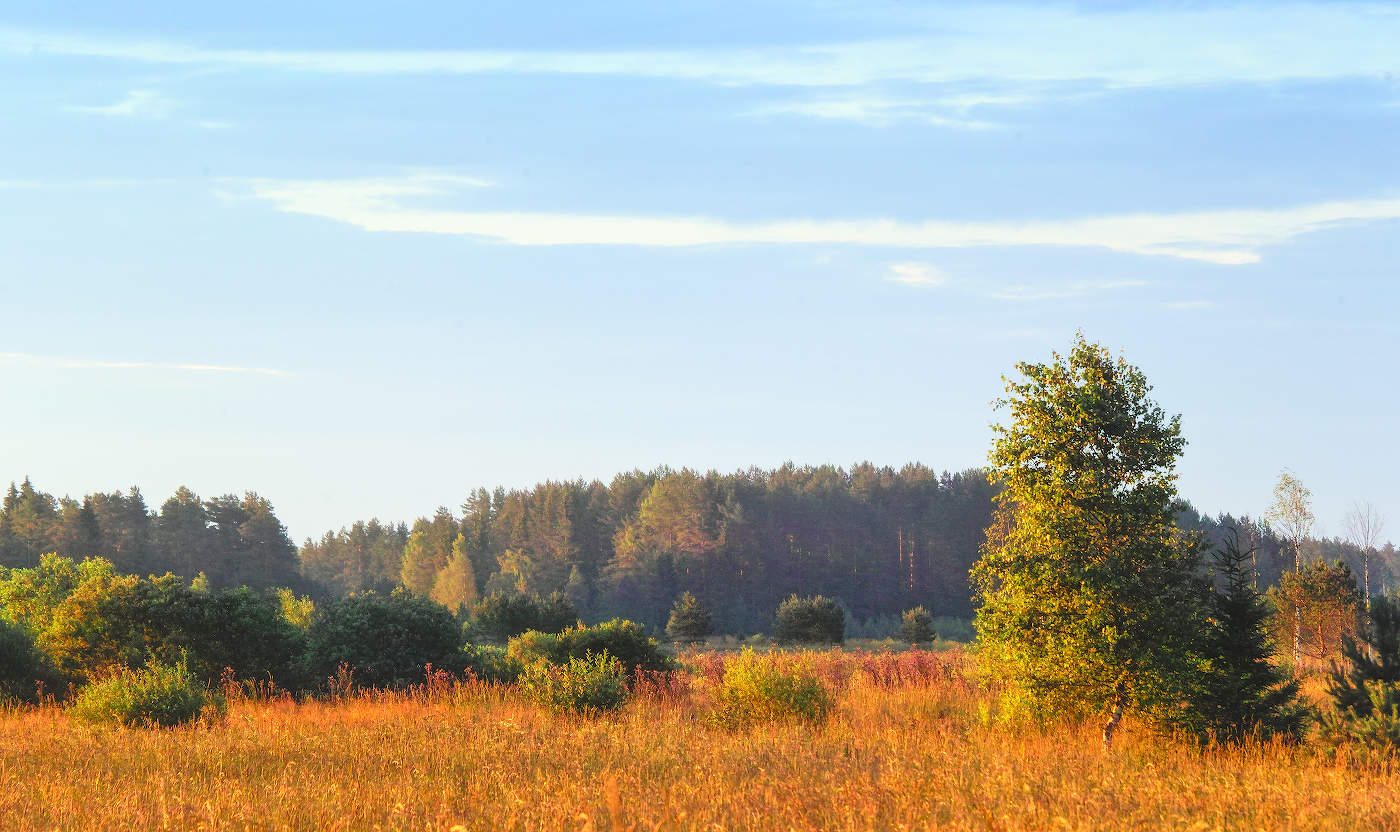 Июль-макушка лета