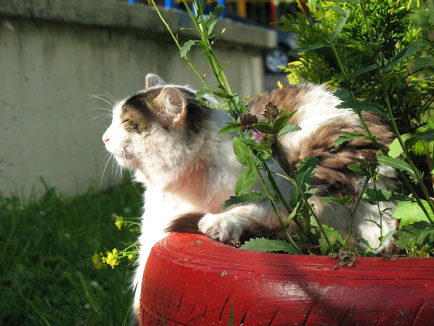 Релаксация