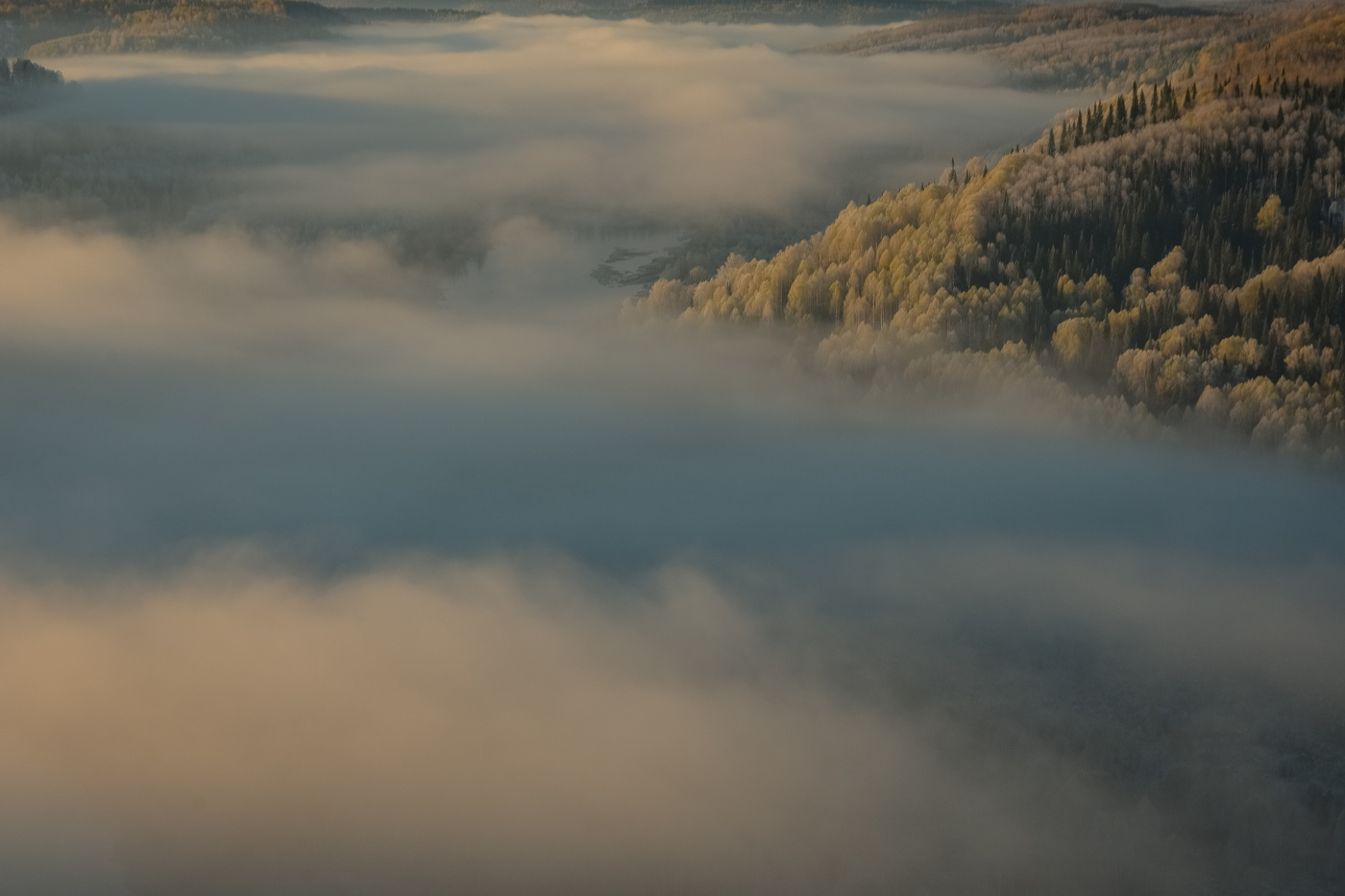 Облачный лес