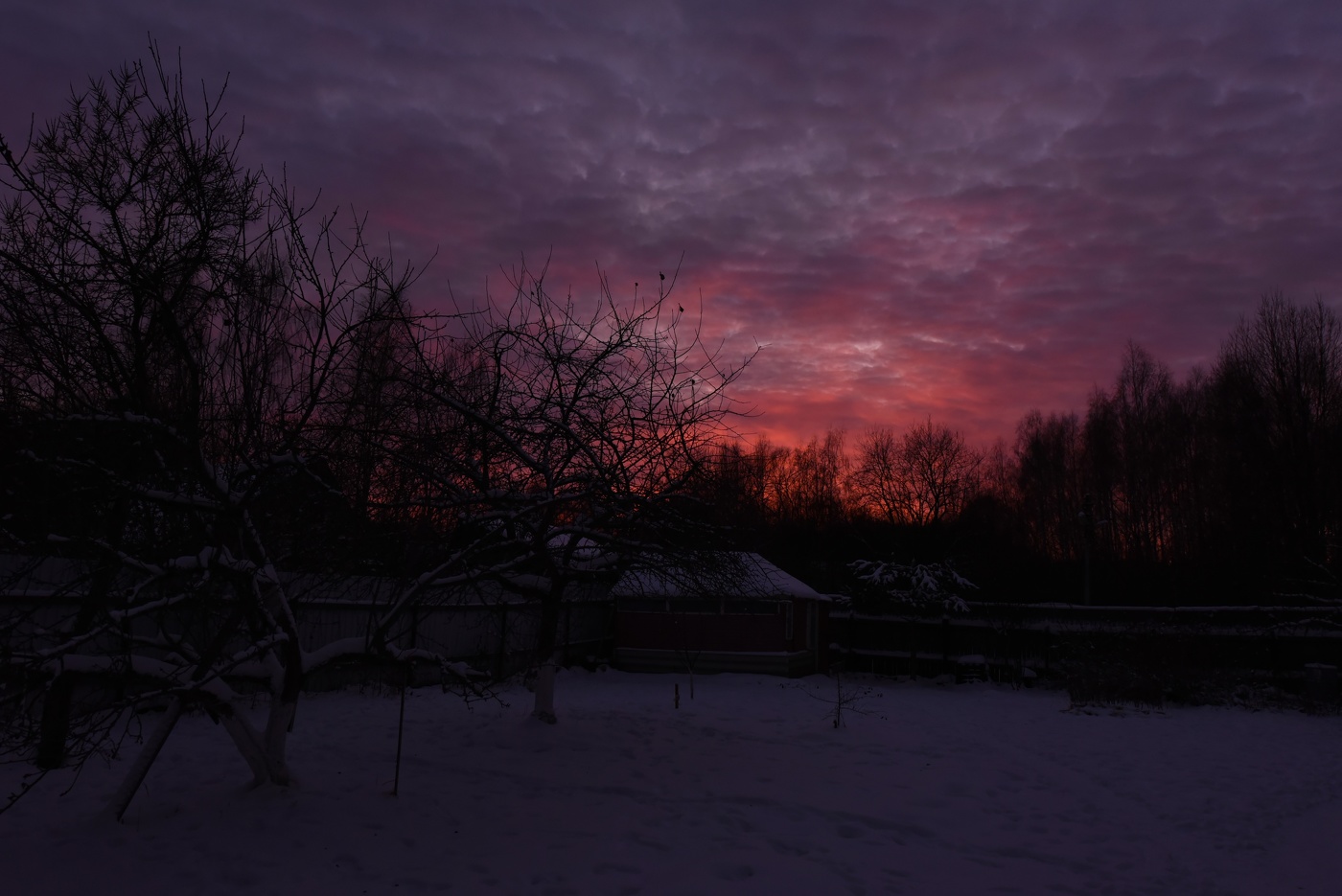 "Угрюмо меркнет зимний день ..."