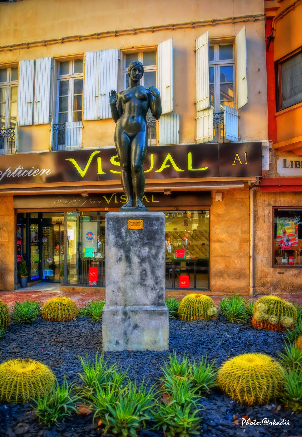 "Венера Майоль"