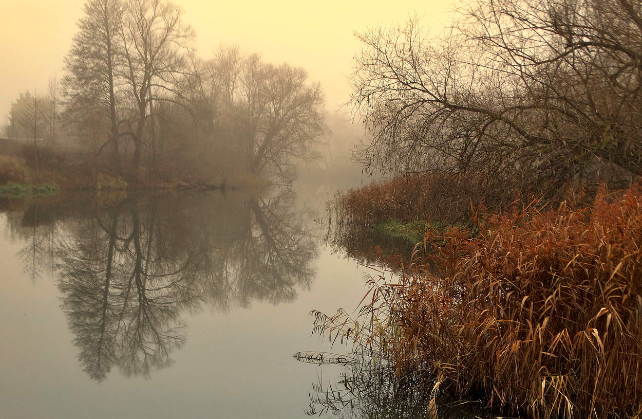 Оттепель с туманом на реке