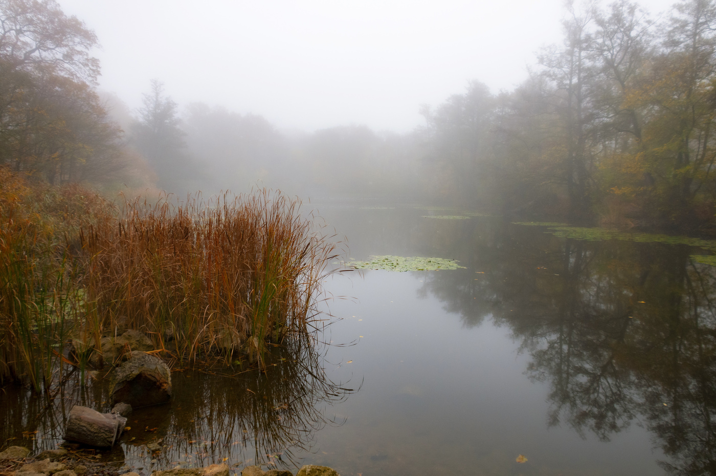 Старый пруд