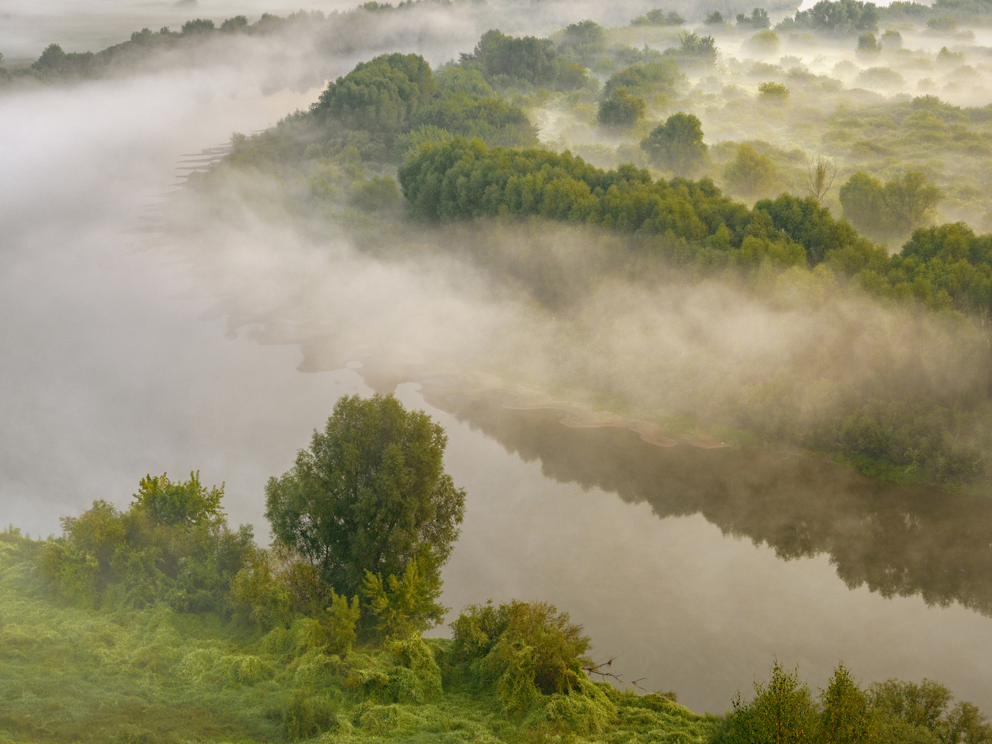Утро у реки