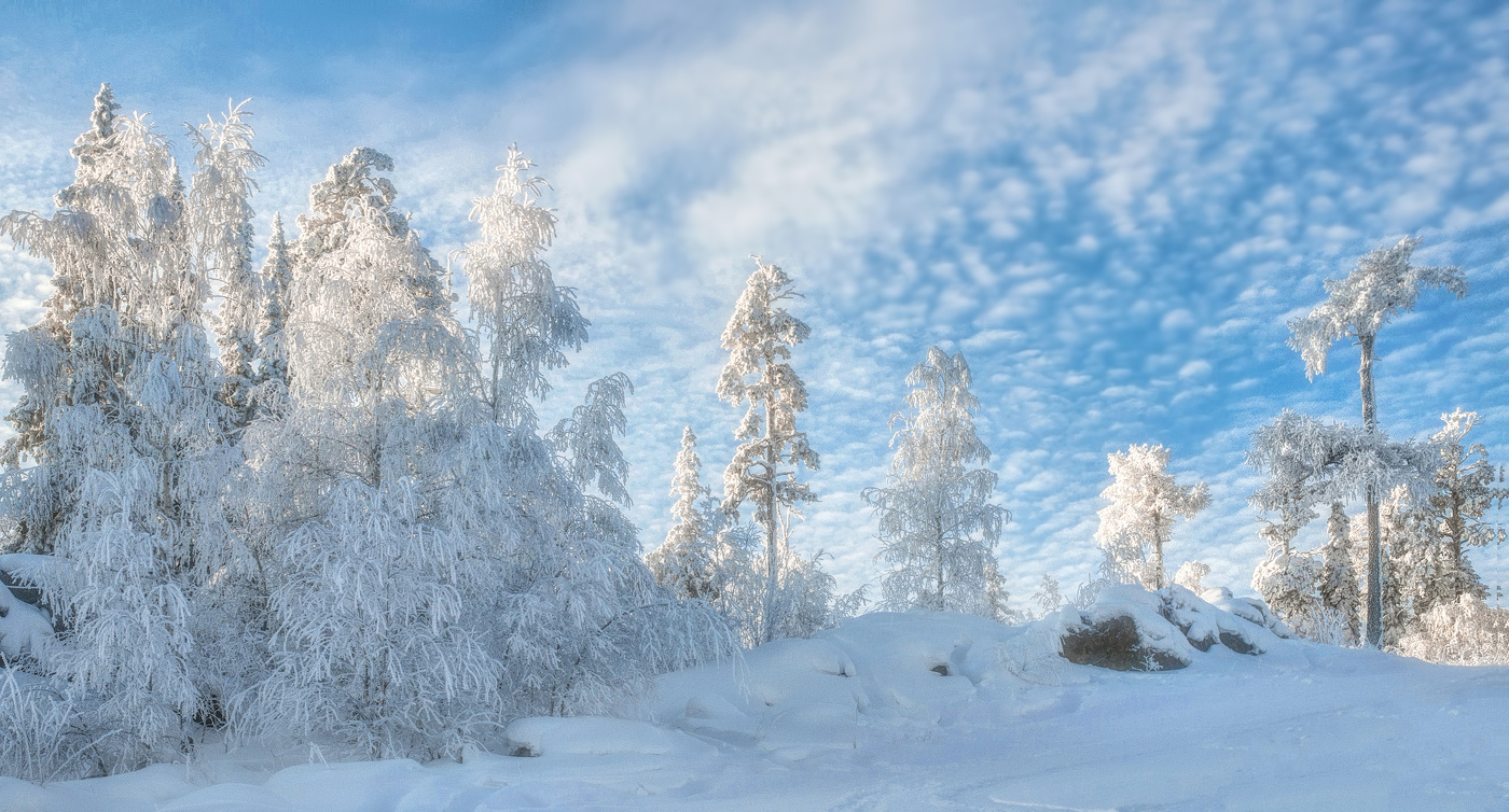 Морозная зима