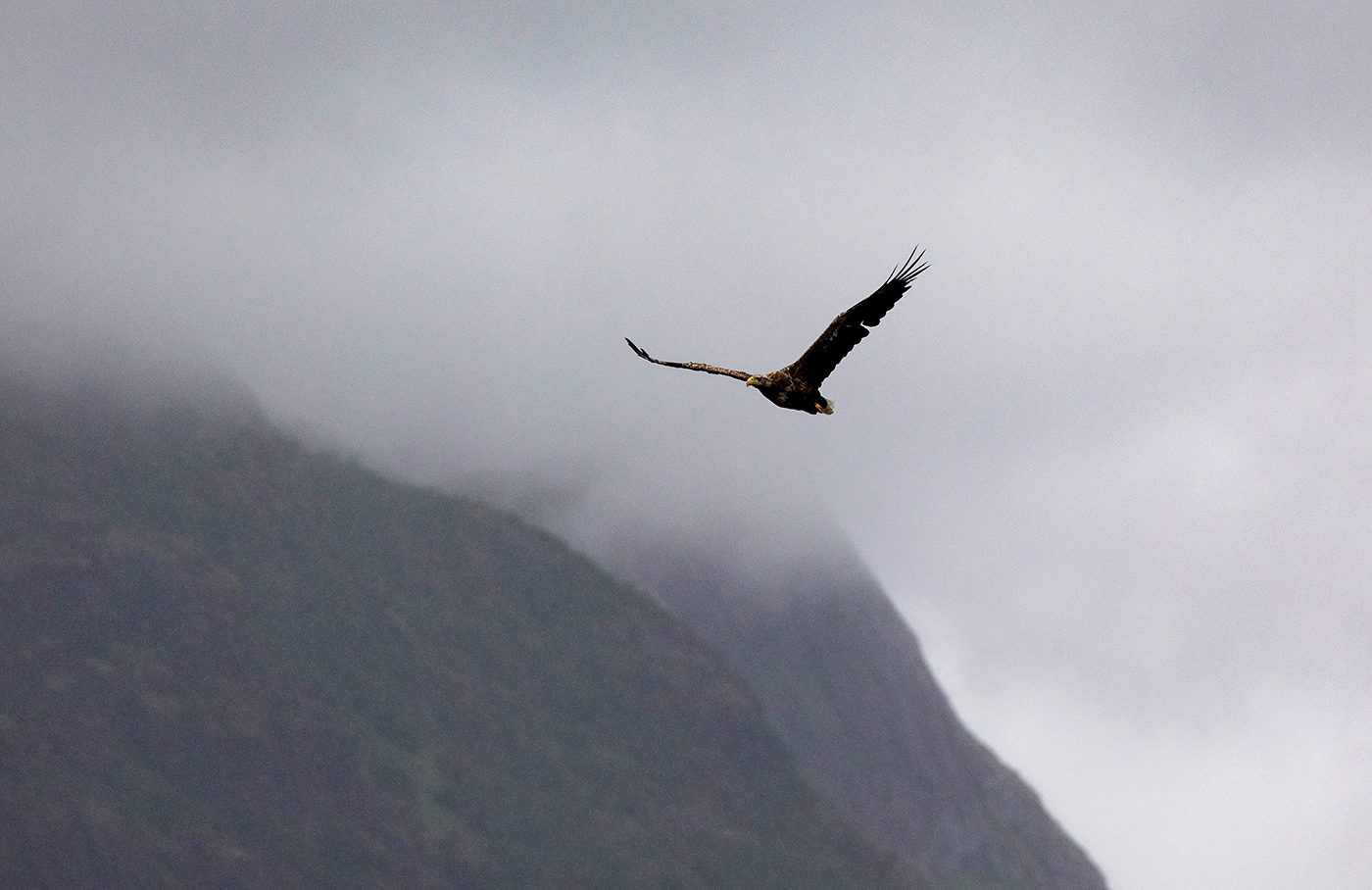В поиске цели