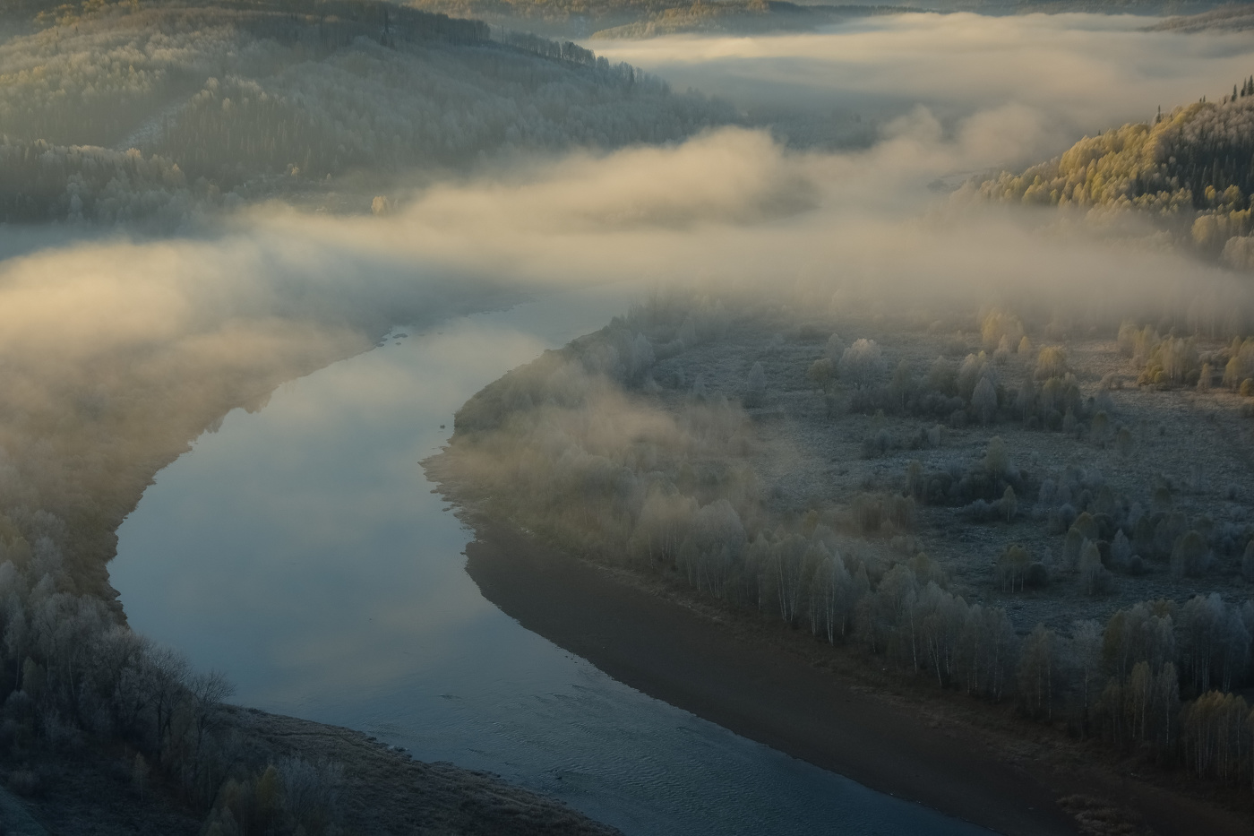 Лес и река в тумане