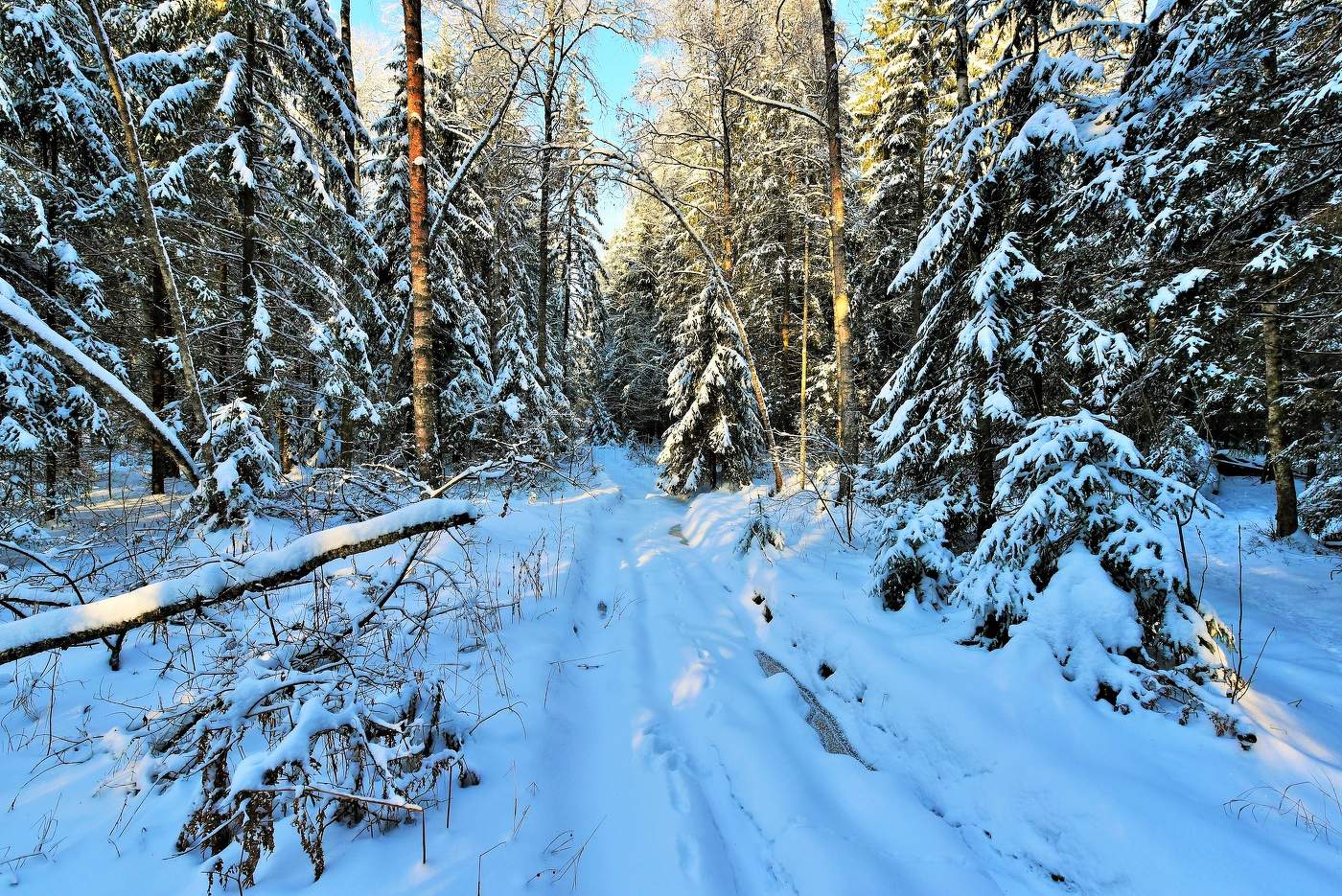 "Морозный воздух, чистый, как хрусталь ..."