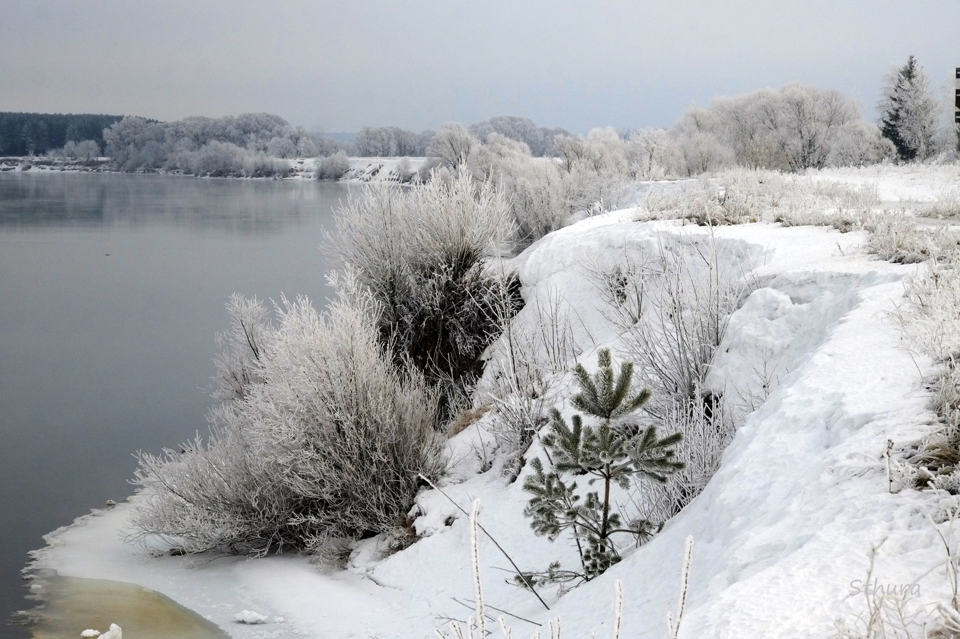 На берегу Оки.