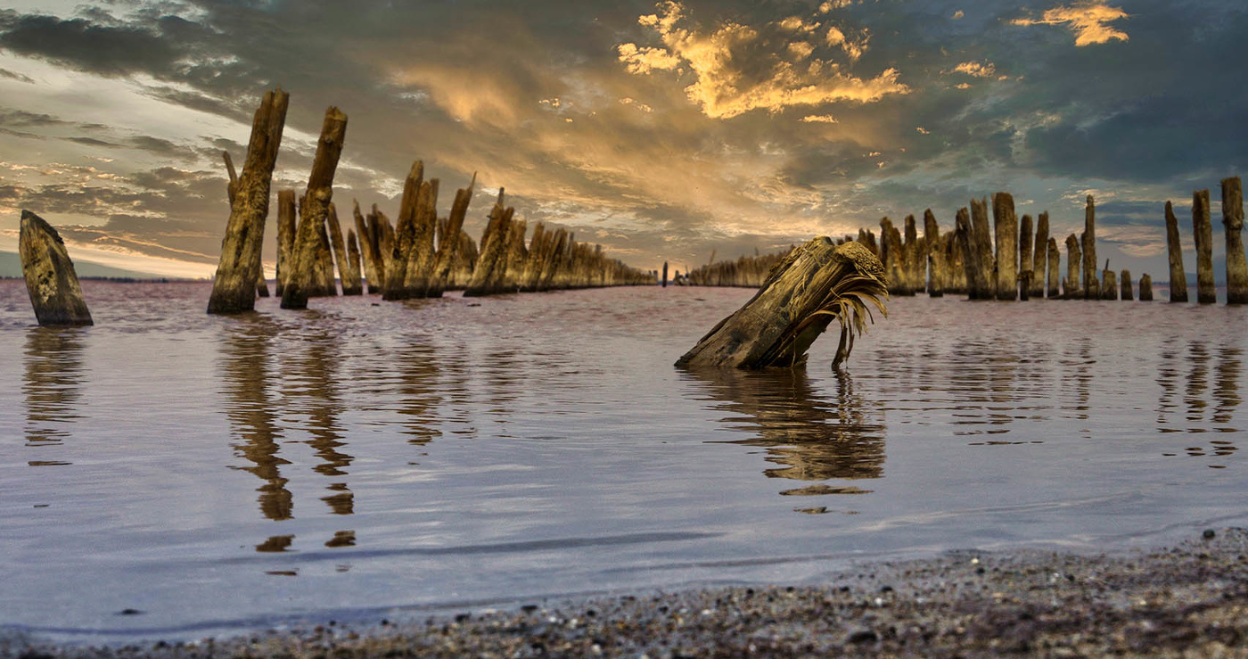 На озере Сасык-Сиваш