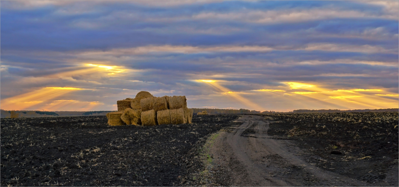 Осеннее поле