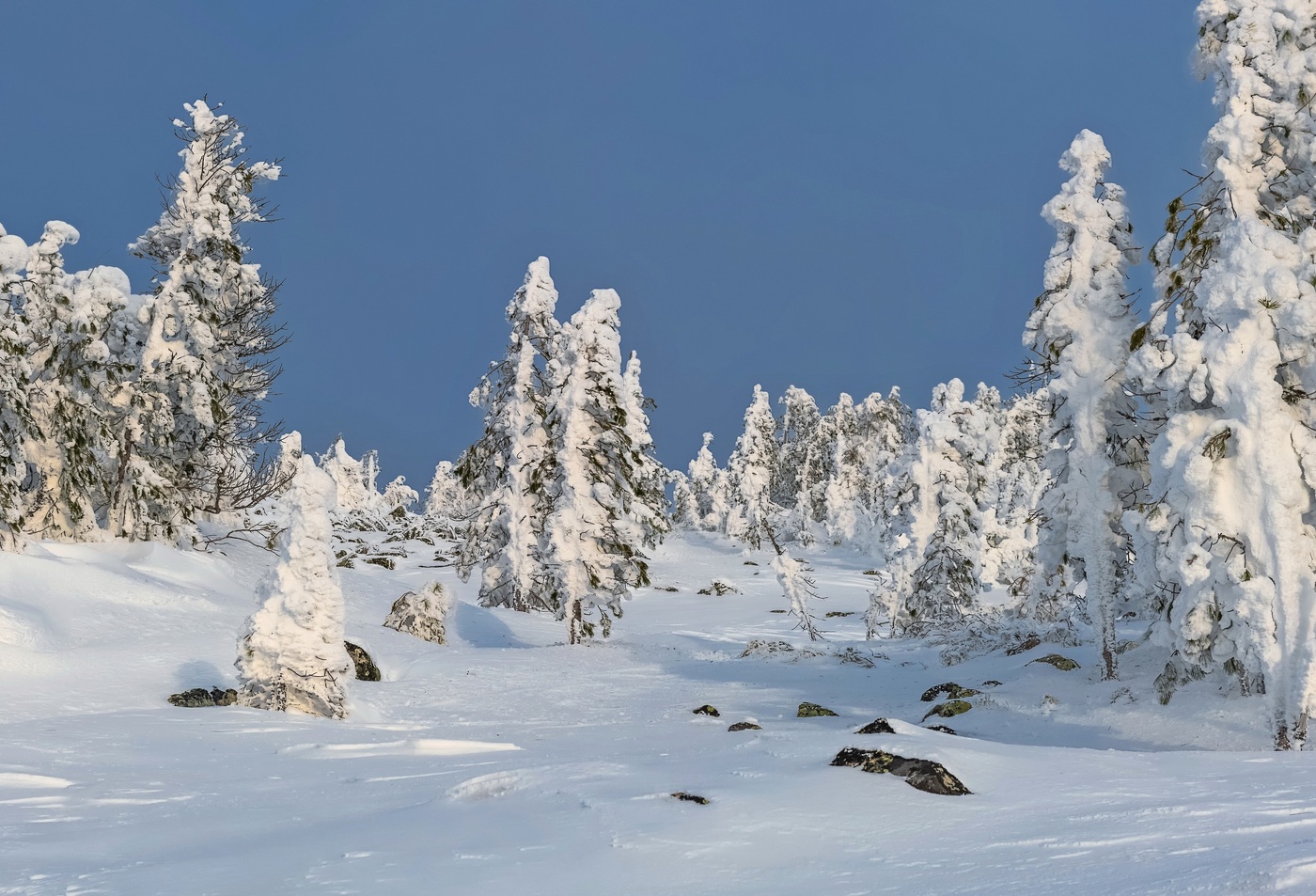 На вершине горы