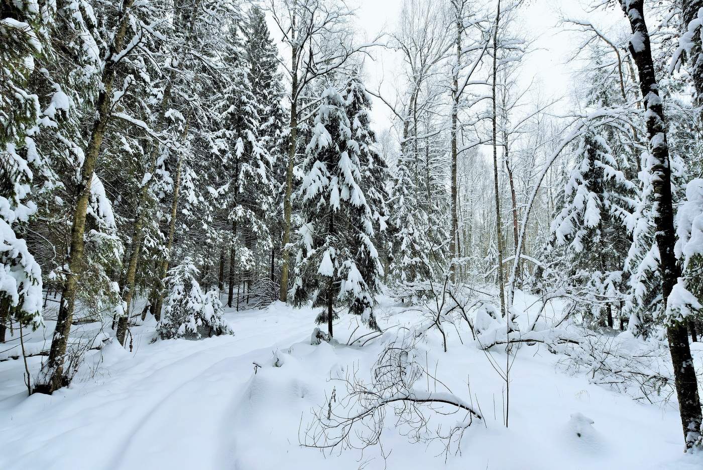 "Морозное дыхание метели еще свежо, но улеглась метель..."