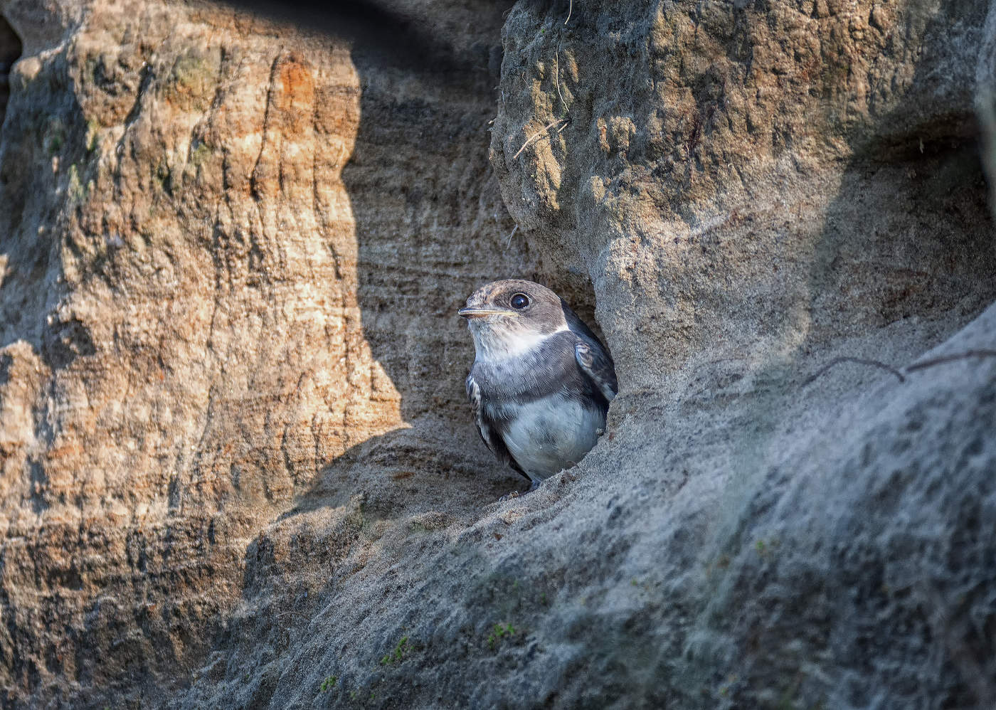 кушать хочется..