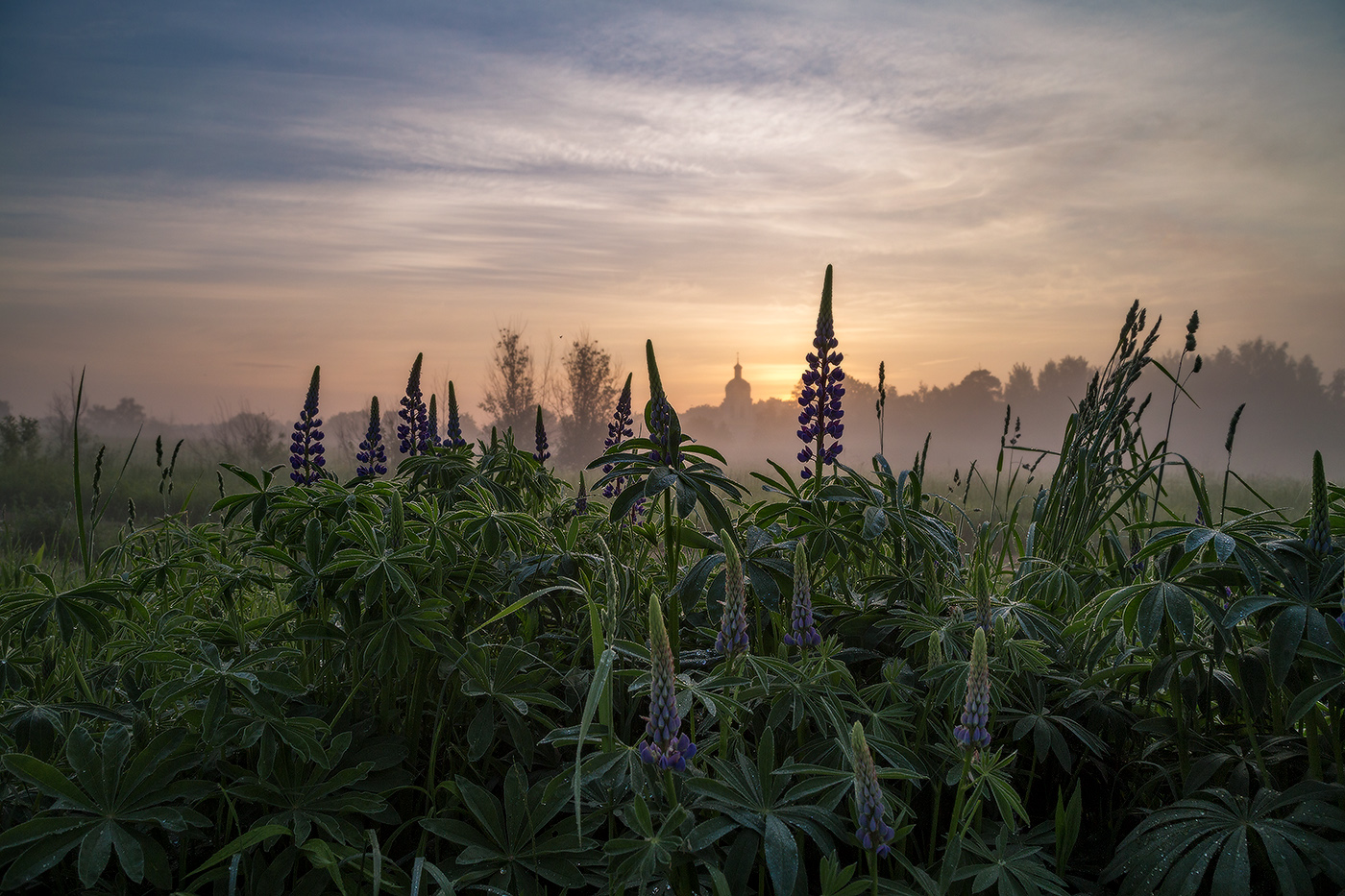 Вспоминая лето