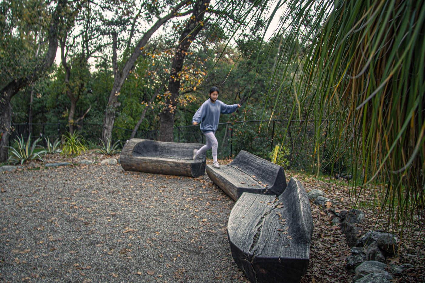 Воскресный день