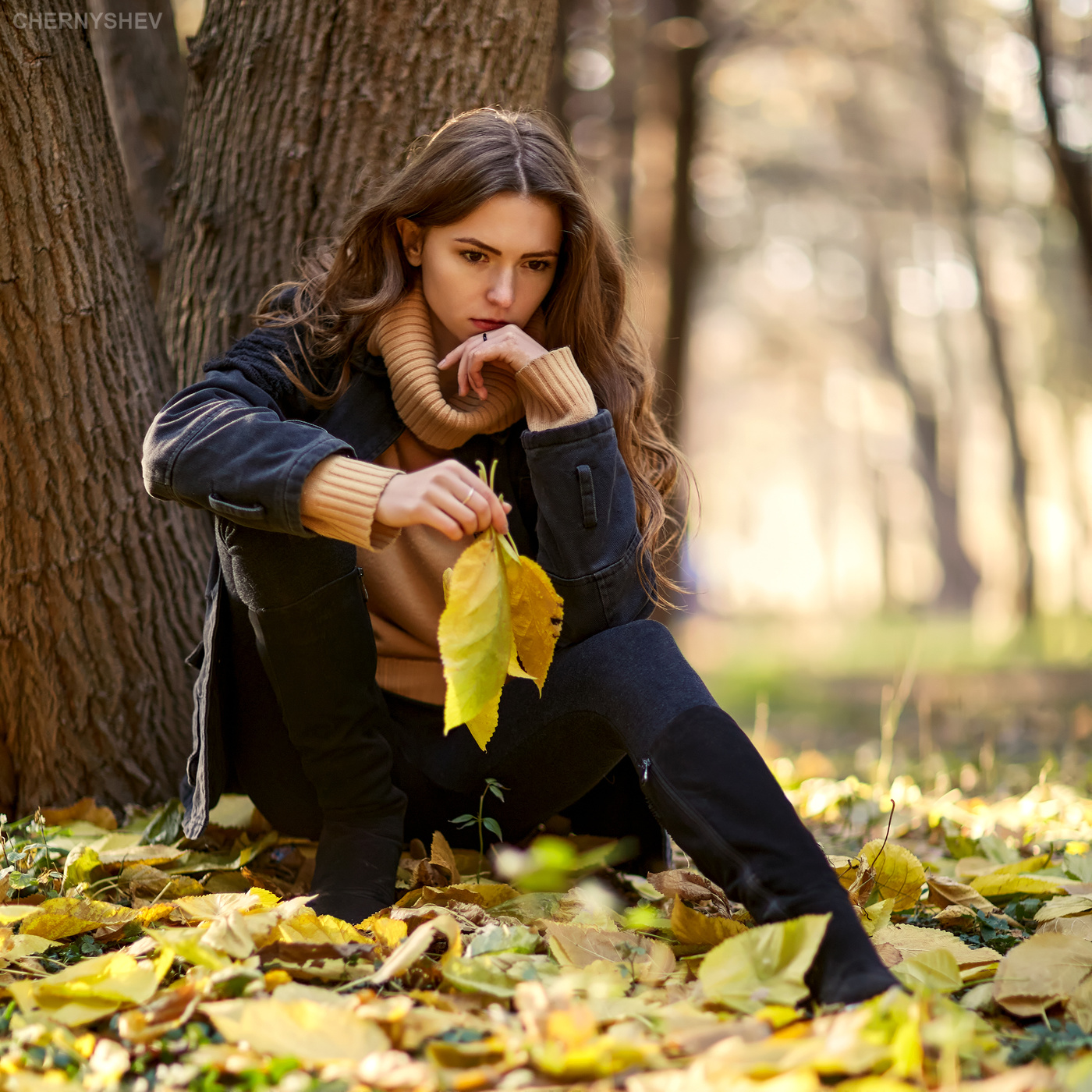 из альбома "логика листьев".