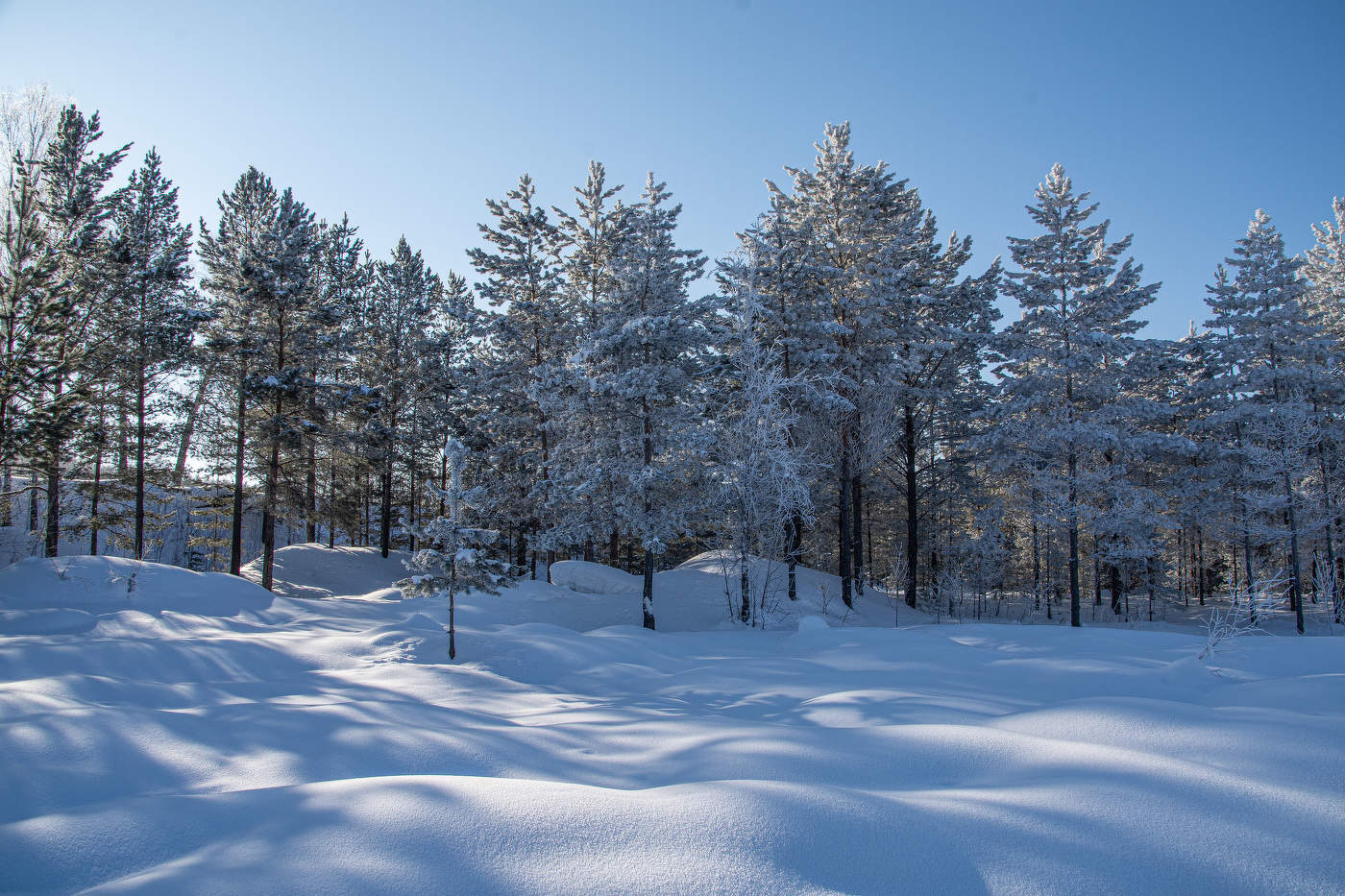 На солнышке